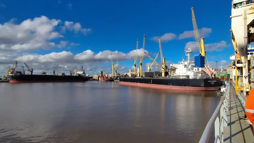 Bulk carrier at a grain terminal on the Parana river