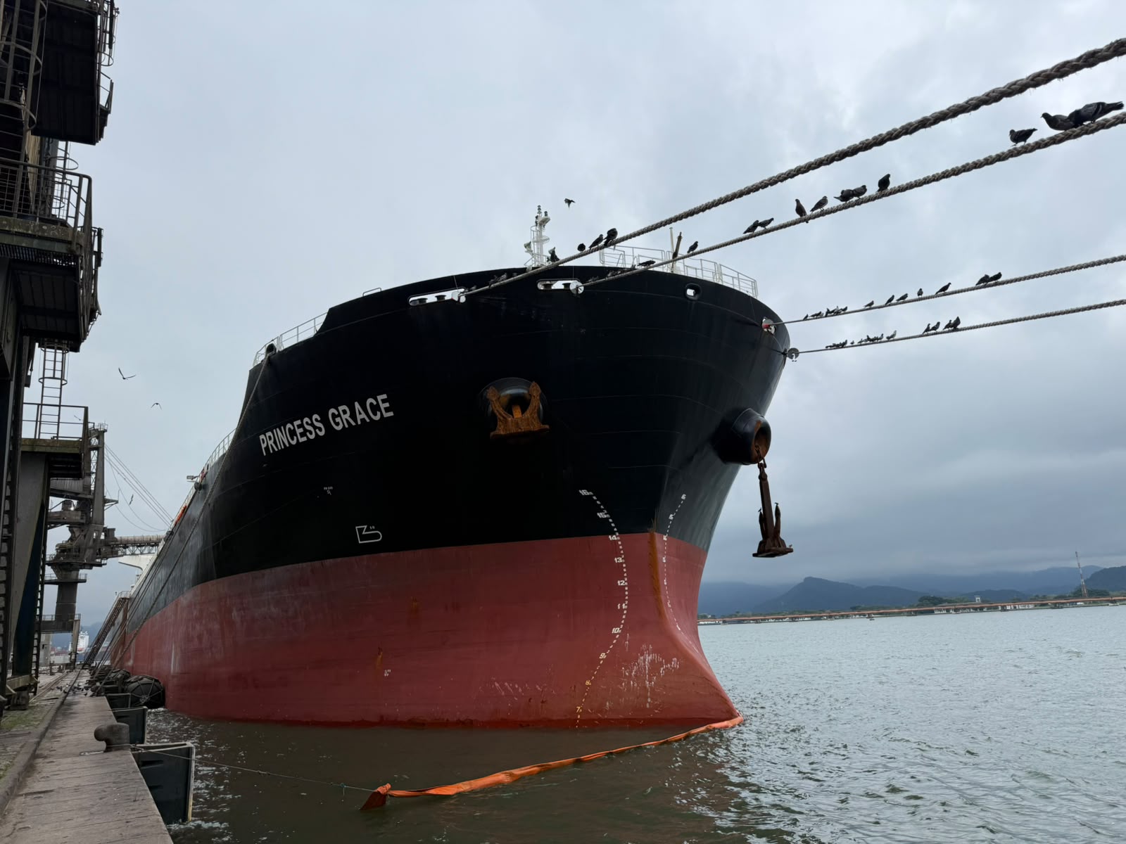 Bulk carrier bow at a grain terminal before bunkering